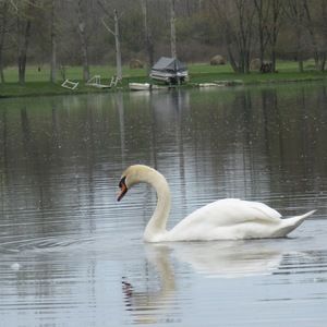 Meet your Posher, Vivian